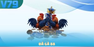 Đá gà 88
