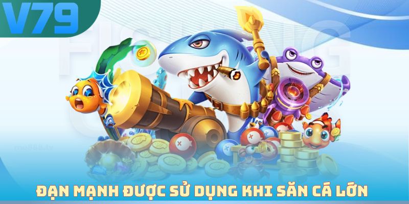 Đạn mạnh được sử dụng khi săn cá lớn