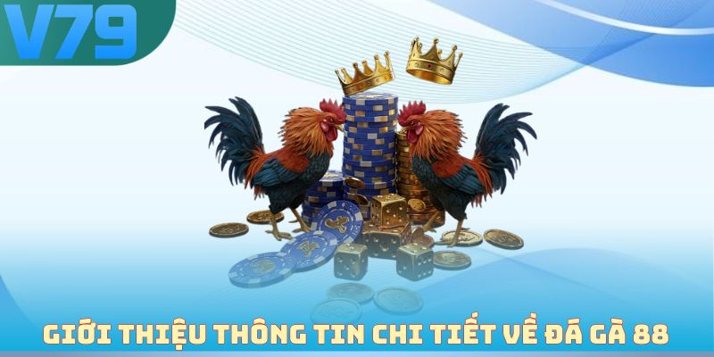 Giới thiệu thông tin chi tiết về đá gà 88